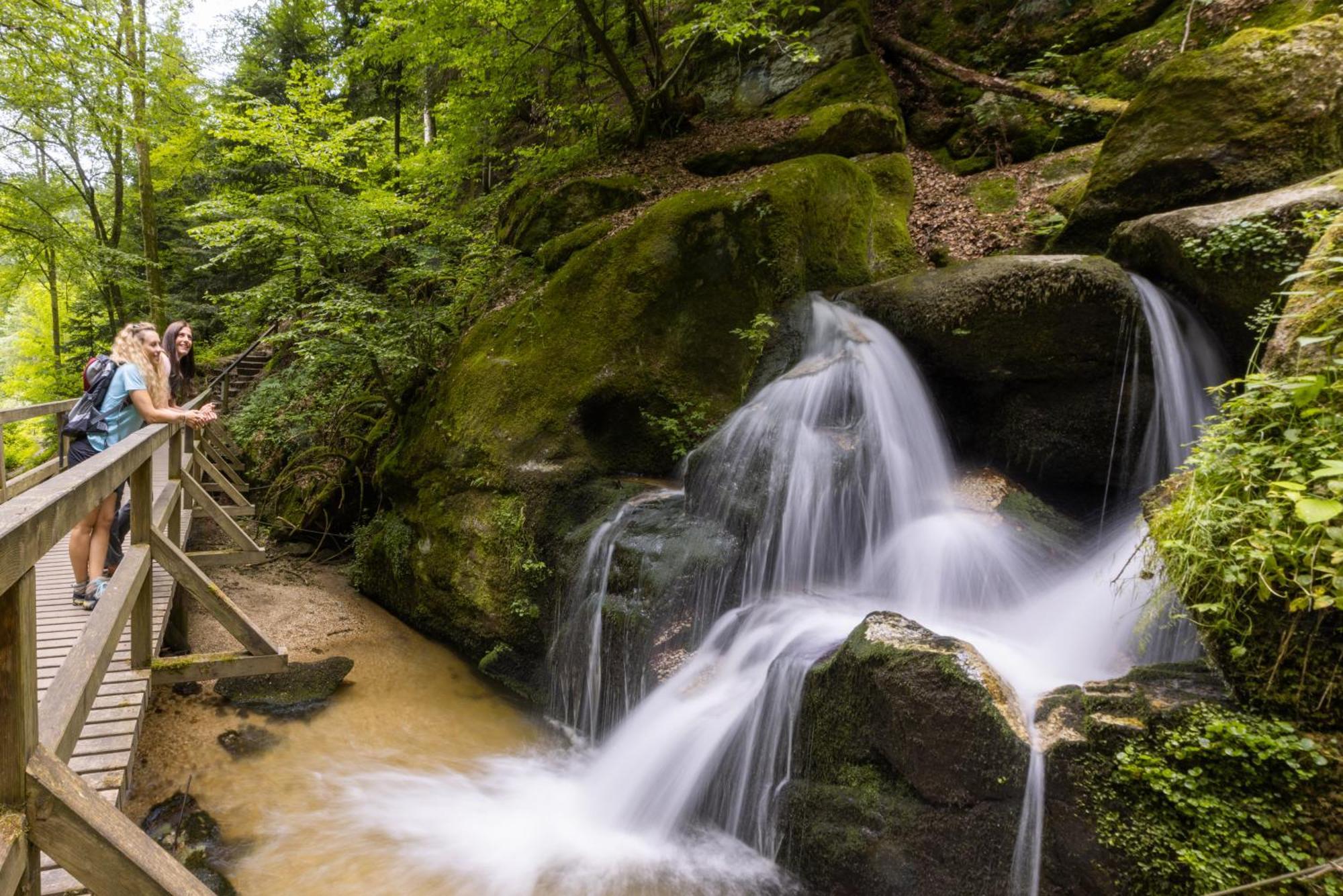 Апартаменты Am Wildbach Bei Passau Saming Экстерьер фото