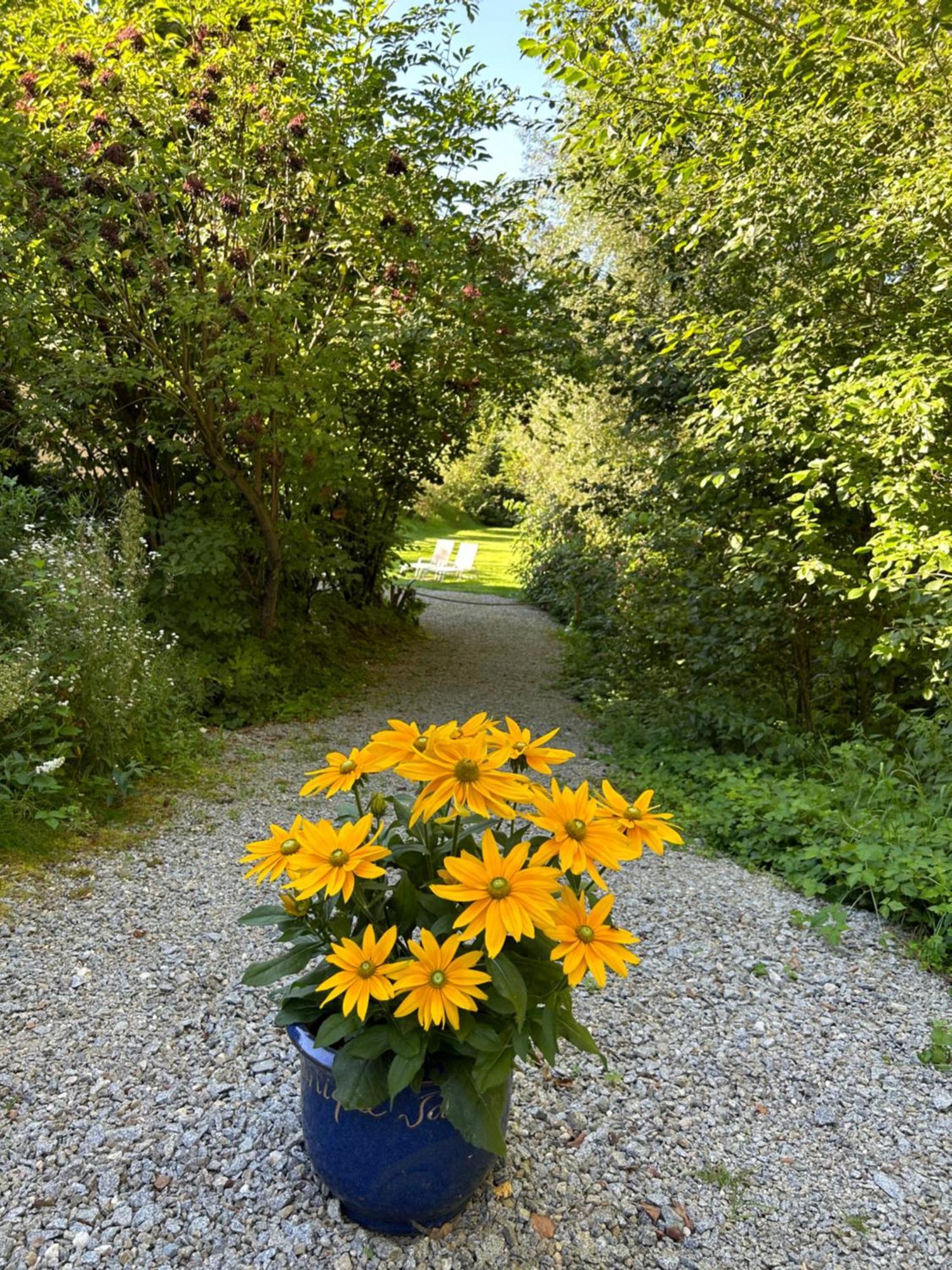 Апартаменты Am Wildbach Bei Passau Saming Экстерьер фото